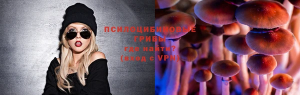 не бодяженный Богородицк