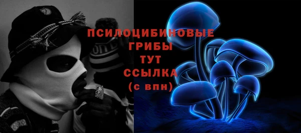 не бодяженный Богородицк